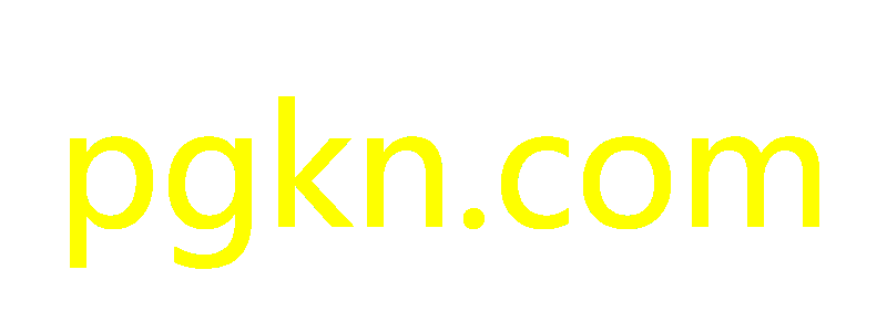 pgkn.com GAME-Logo